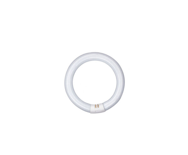 Lâmpada Circular OSRAM 22w